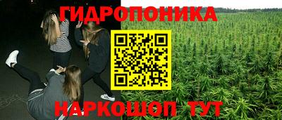 ГАЛЛЮЦИНОГЕННЫЕ ГРИБЫ Нальчик